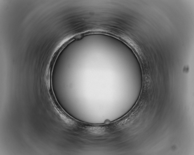 X0000097981127200804071117