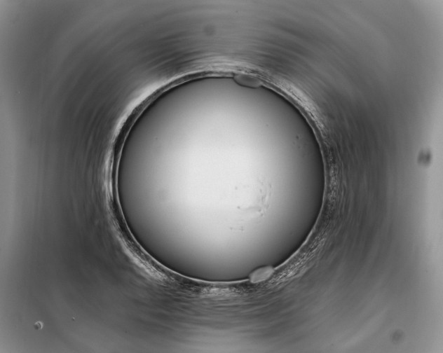 X0000097981128200804071117