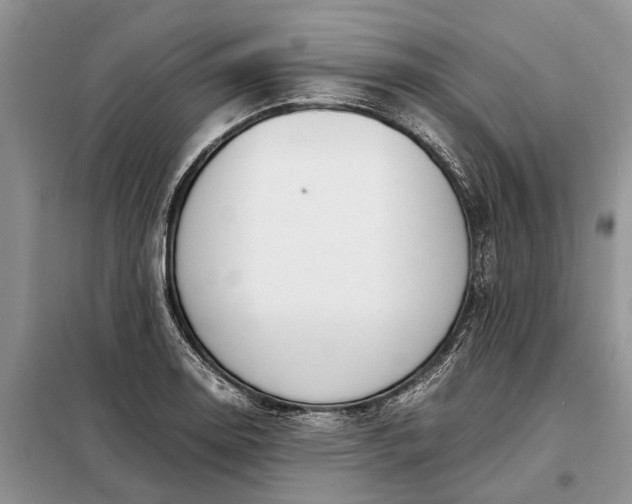X0000097981130200804071118
