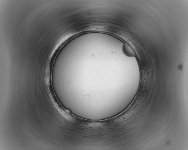 X0000097981131200804071118