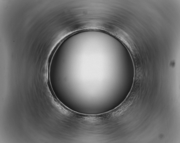 X0000097981132200804071118