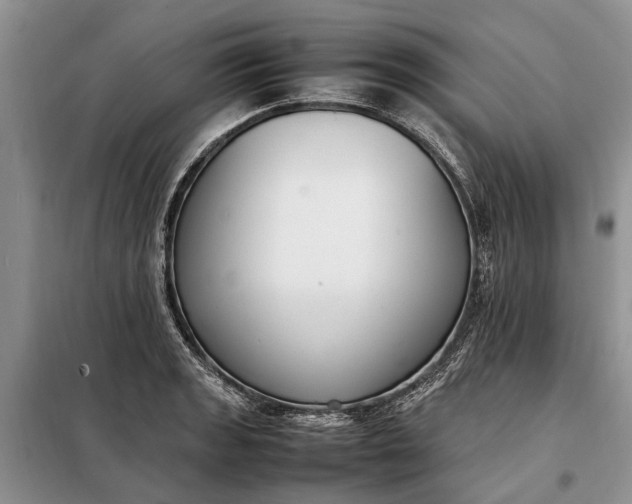 X0000097981133200804071118