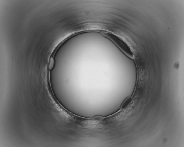 X0000097981134200804071118