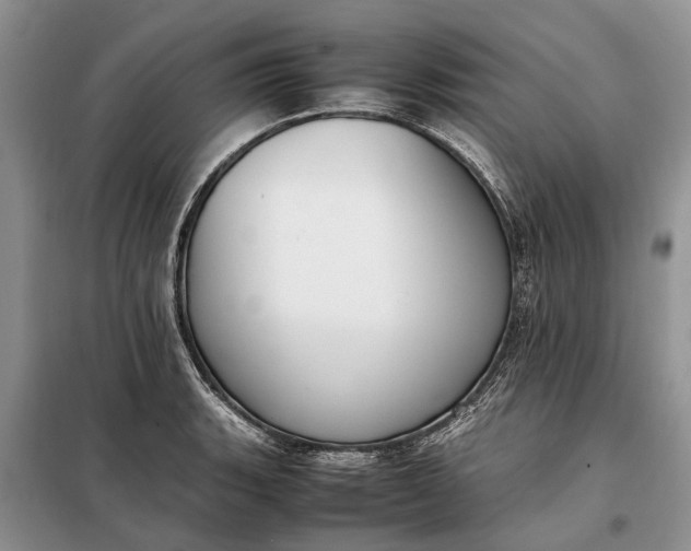 X0000097981135200804071118