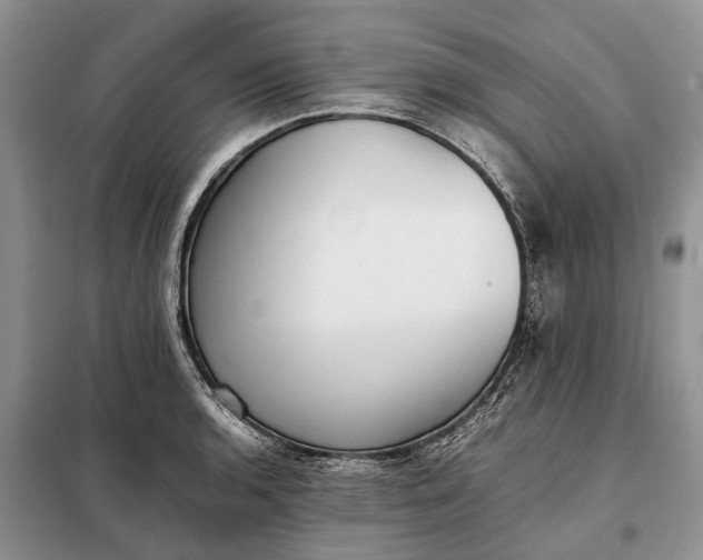 X0000097981136200804071118