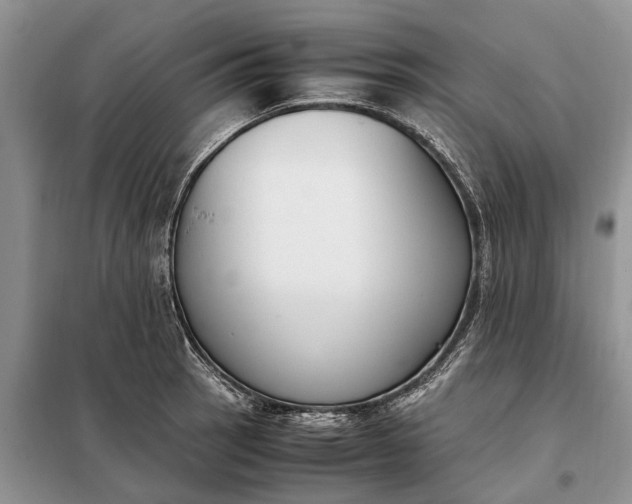 X0000097981137200804071118