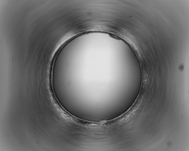 X0000097981138200804071118