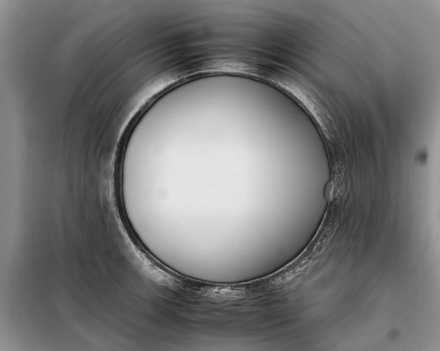 X0000097981139200804071118
