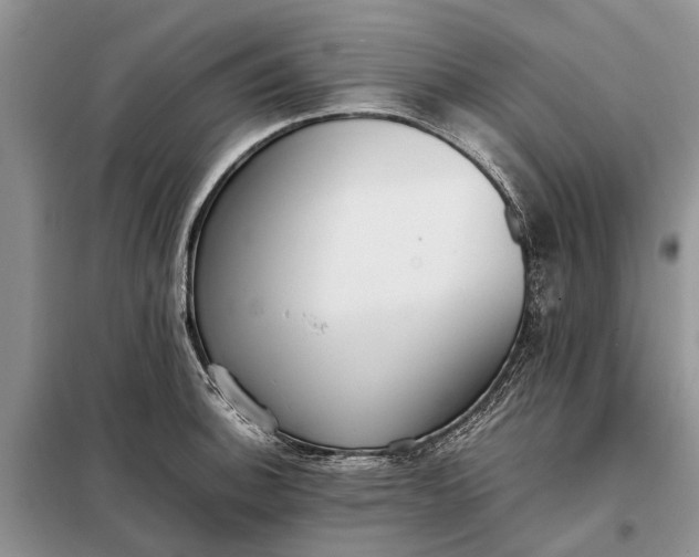 X0000097981140200804071118
