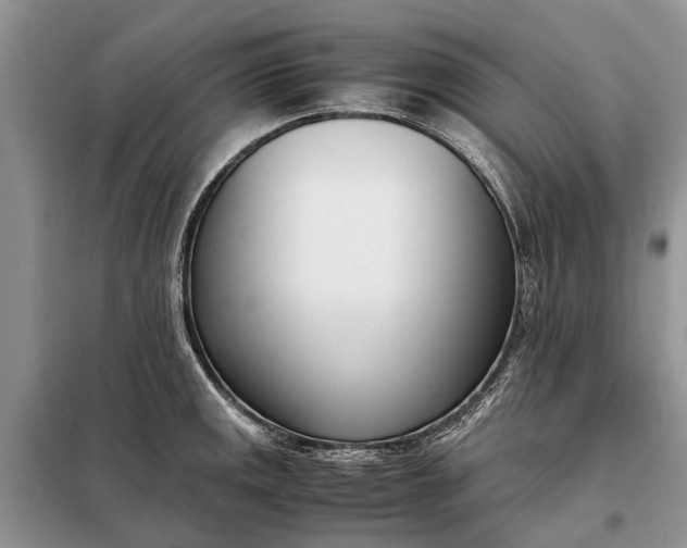 X0000097981141200804071118