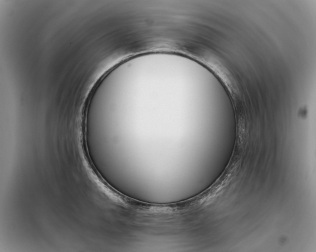X0000097981142200804071118