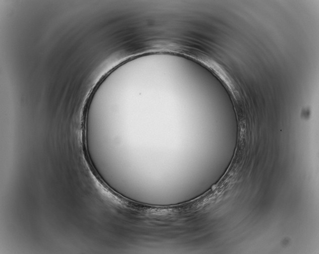 X0000097981143200804071118
