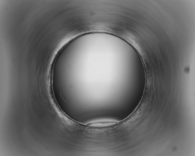 X0000097981144200804071118