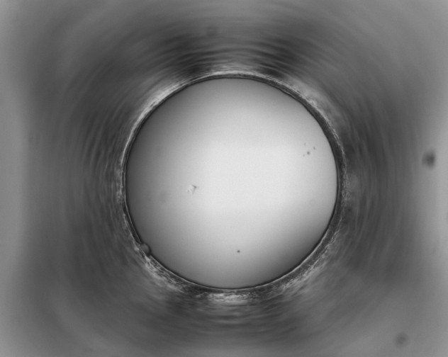X0000097981145200804071118