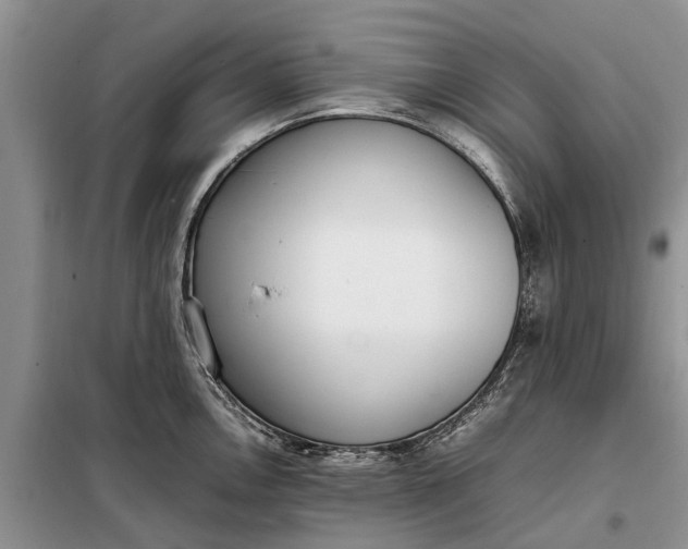 X0000097981146200804071118