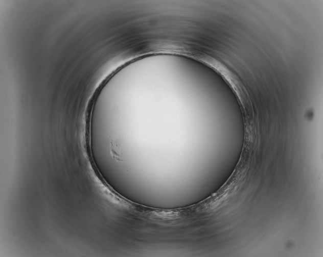 X0000097981147200804071118