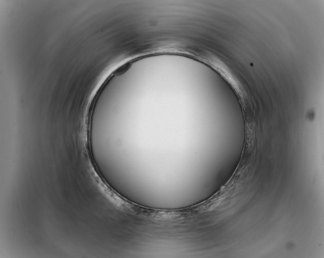 X0000097981148200804071118