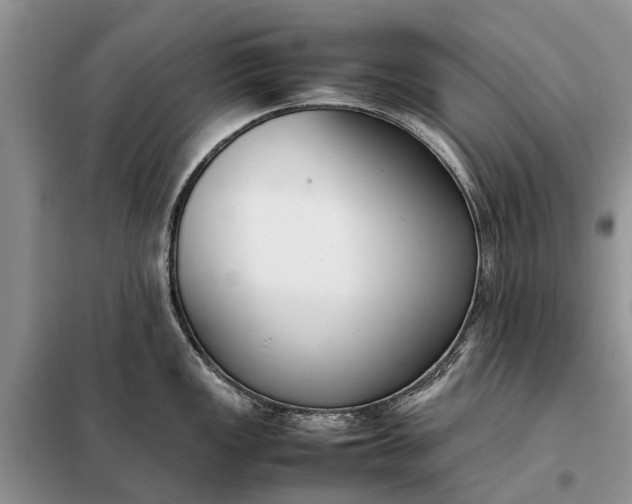 X0000097981149200804071118