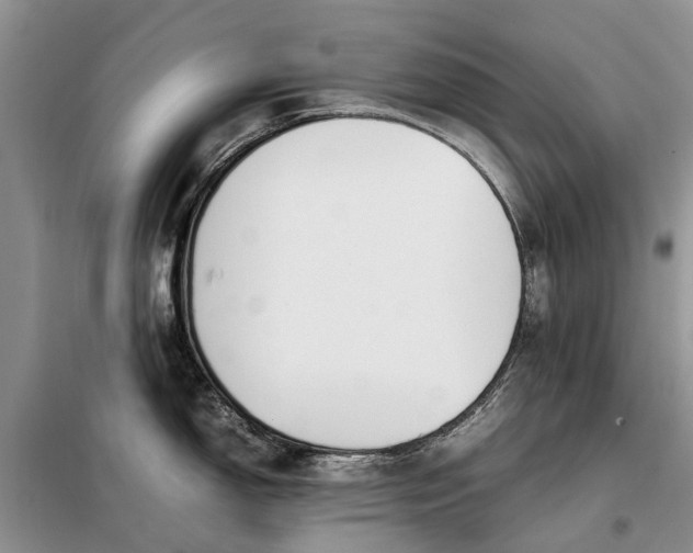 X0000097981150200804071118