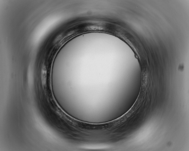 X0000097981151200804071118