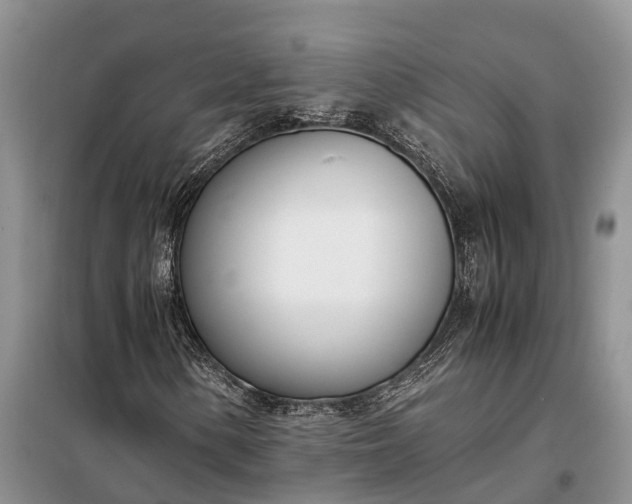 X0000097981154200804071117