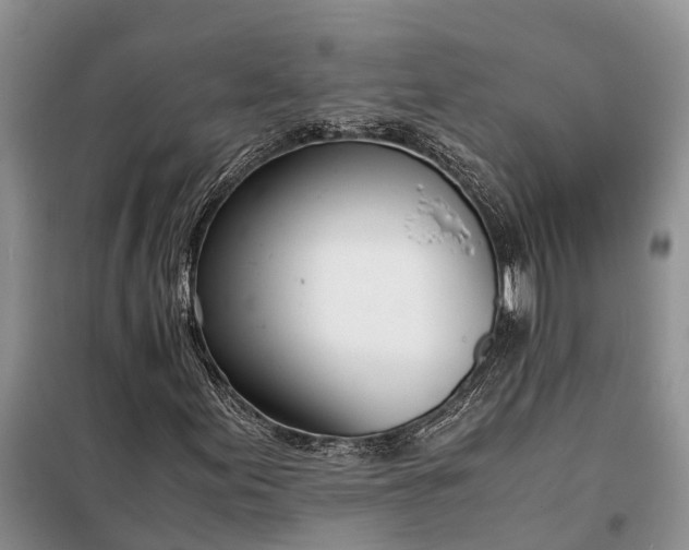 X0000097981155200804071117