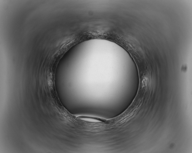 X0000097981156200804071117