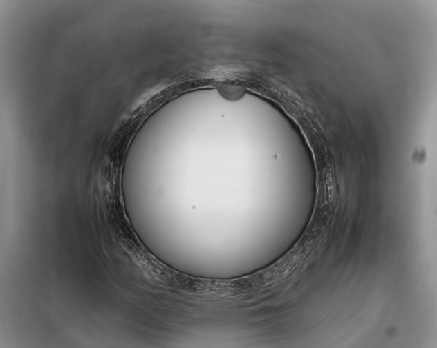 X0000097981158200804071117