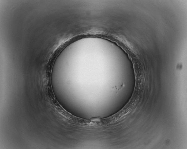 X0000097981160200804071117