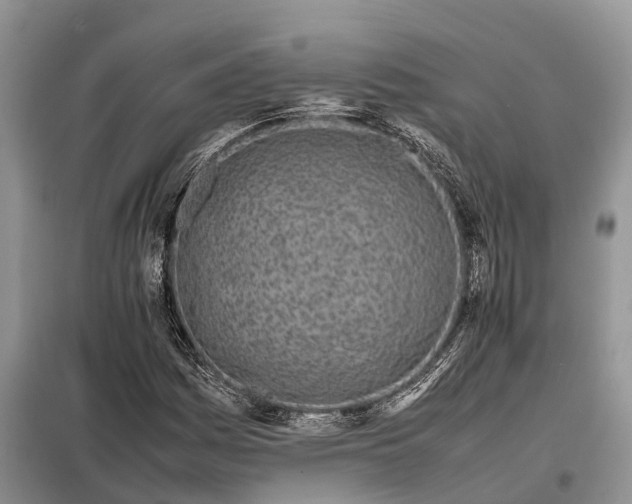 X0000097981161200804071117