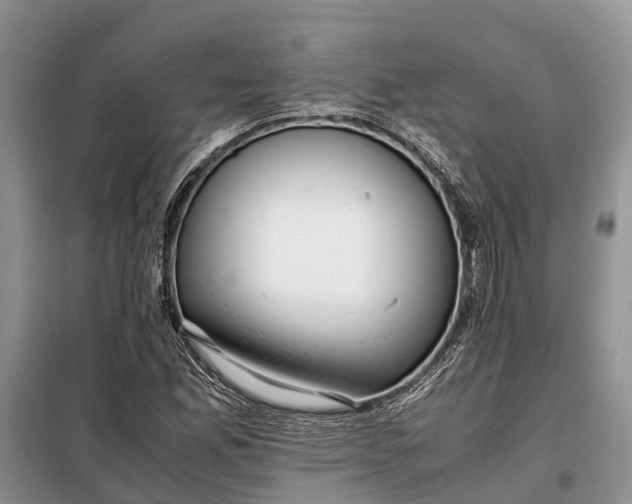 X0000097981165200804071117