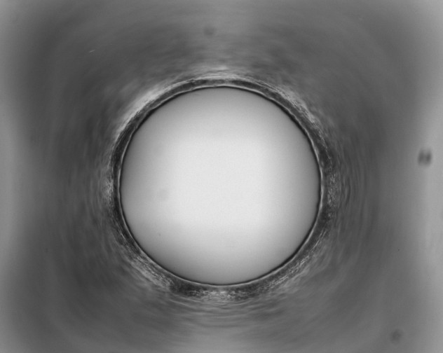 X0000097981167200804071117