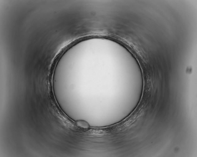 X0000097981168200804071117