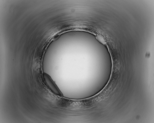X0000097981169200804071117
