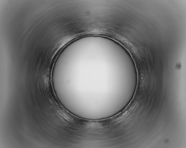 X0000097981170200804071117