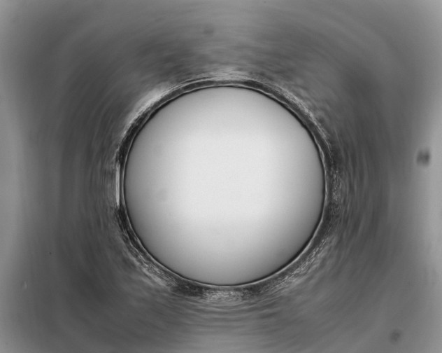 X0000097981171200804071117