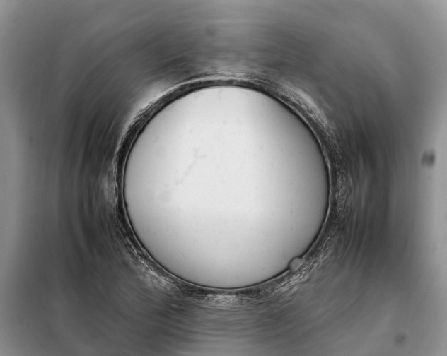 X0000097981172200804071117