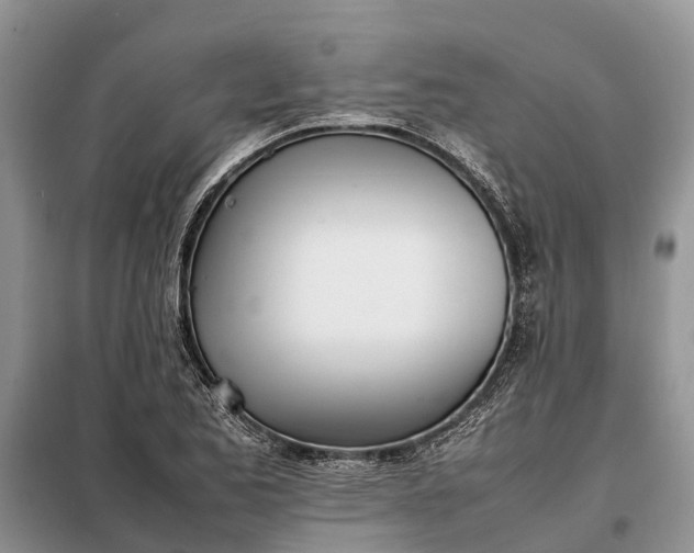 X0000097981173200804071117