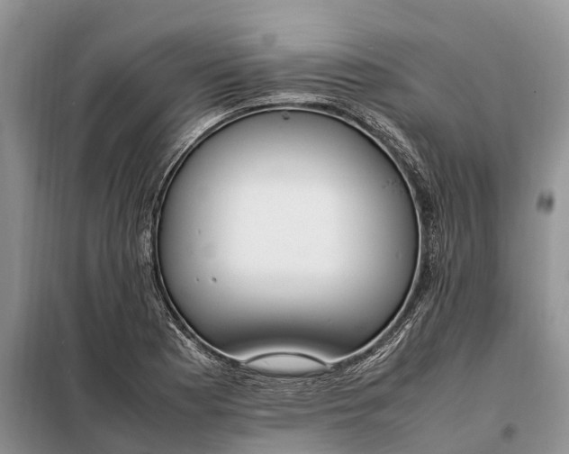 X0000097981177200804071117