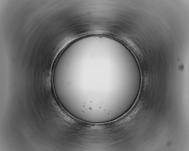 X0000097981178200804071117