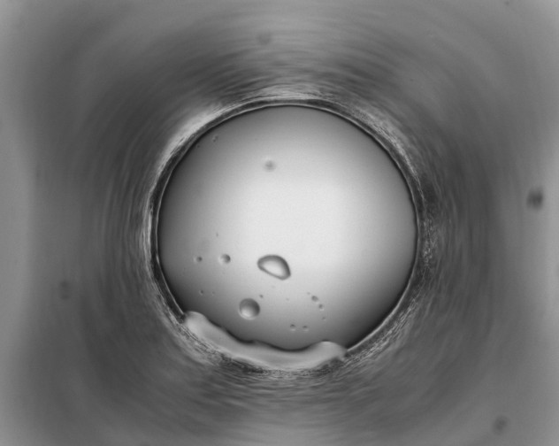 X0000097981179200804071117
