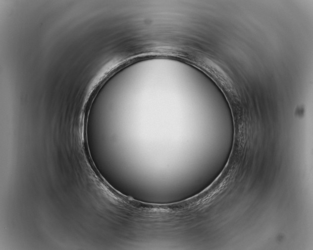 X0000097981180200804071117