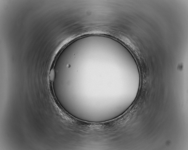 X0000097981181200804071117