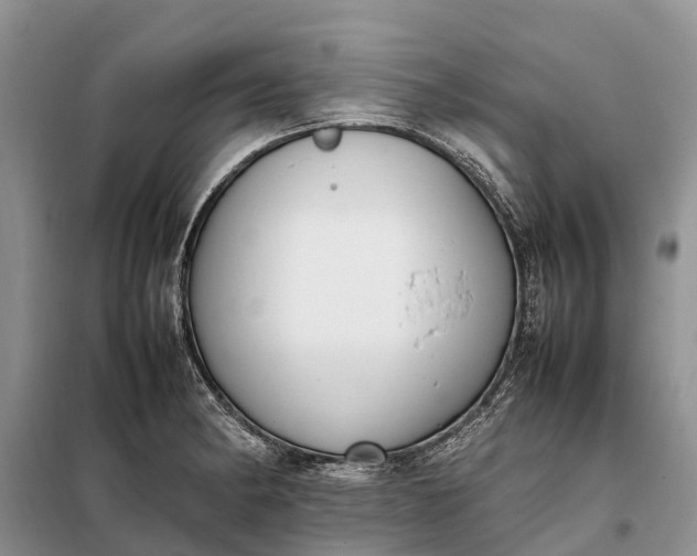 X0000097981182200804071117
