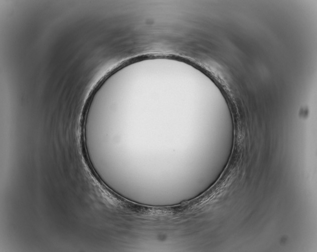 X0000097981183200804071117
