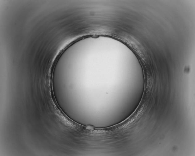 X0000097981184200804071117