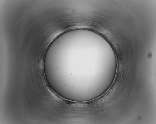 X0000097981185200804071117