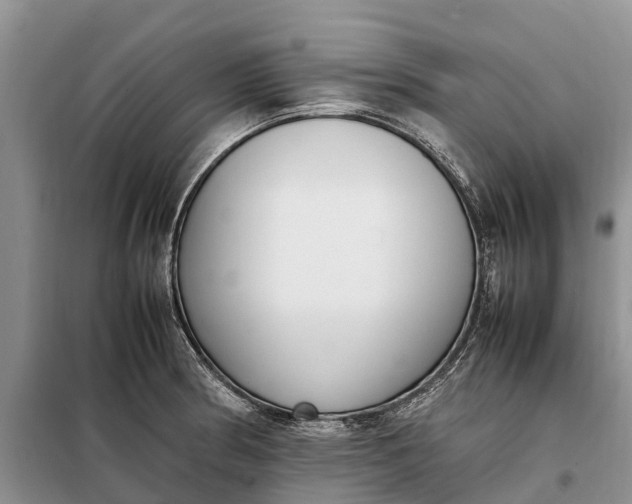 X0000097981186200804071117