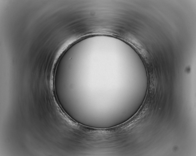 X0000097981188200804071116