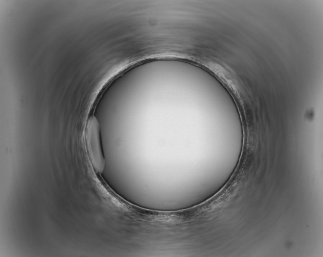 X0000097981189200804071116